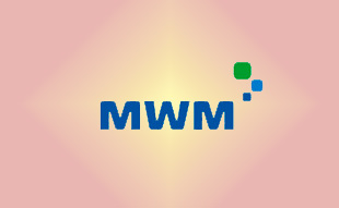 ✓ MWM 0403 4450 Запчасть MWM 